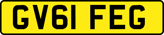 GV61FEG