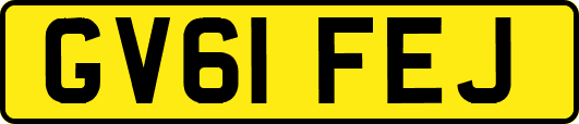 GV61FEJ