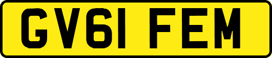 GV61FEM