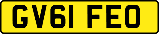 GV61FEO