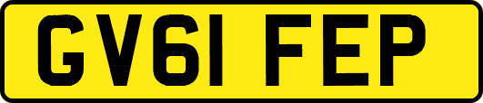 GV61FEP