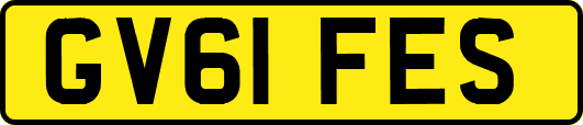 GV61FES