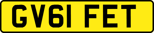 GV61FET