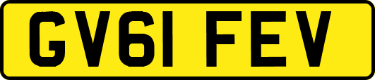 GV61FEV