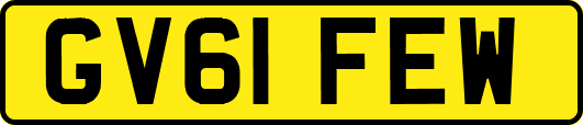 GV61FEW