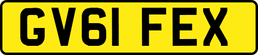 GV61FEX