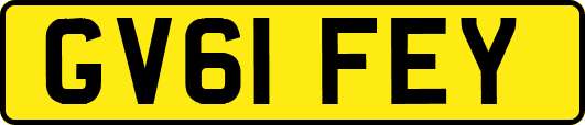 GV61FEY