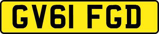 GV61FGD