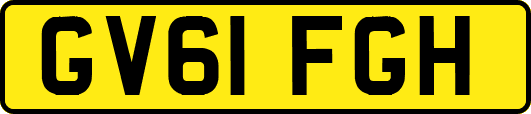 GV61FGH