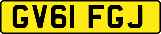 GV61FGJ
