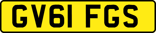 GV61FGS