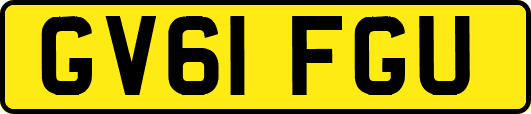 GV61FGU