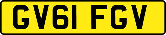 GV61FGV