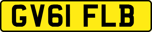 GV61FLB