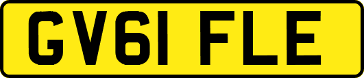 GV61FLE
