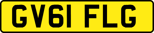 GV61FLG