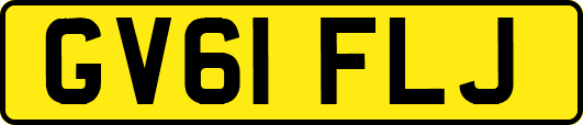 GV61FLJ