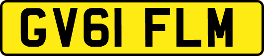 GV61FLM