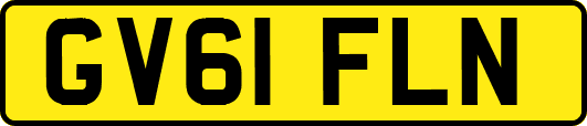 GV61FLN