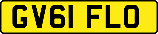 GV61FLO