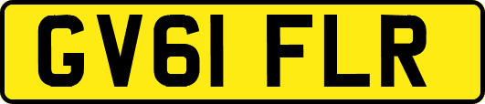 GV61FLR
