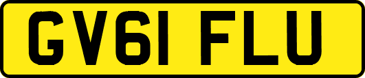 GV61FLU