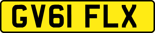 GV61FLX