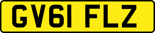 GV61FLZ