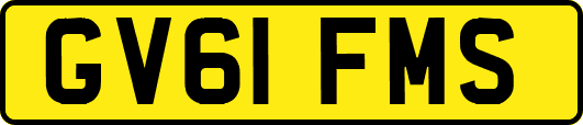 GV61FMS