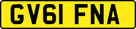 GV61FNA