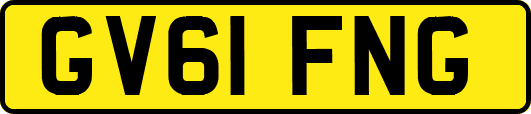 GV61FNG