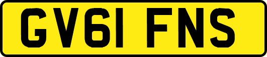 GV61FNS