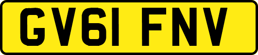 GV61FNV