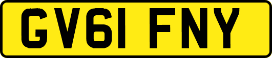 GV61FNY