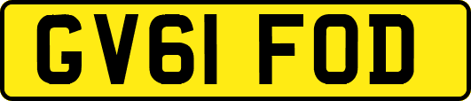 GV61FOD