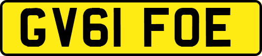 GV61FOE