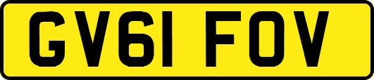 GV61FOV