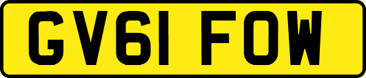 GV61FOW