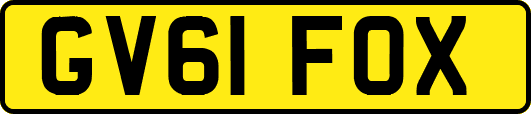 GV61FOX
