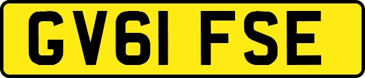GV61FSE