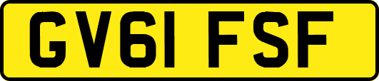 GV61FSF