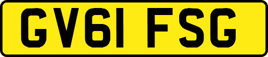 GV61FSG