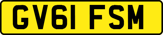 GV61FSM