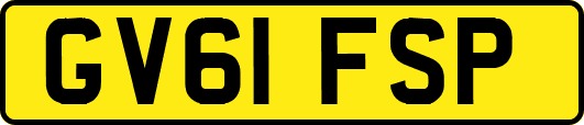 GV61FSP