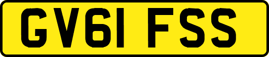 GV61FSS