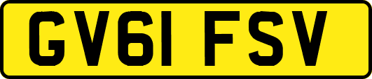 GV61FSV