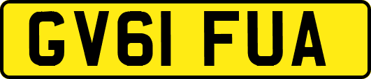 GV61FUA