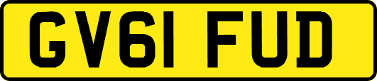 GV61FUD
