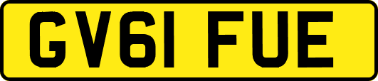 GV61FUE