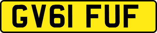 GV61FUF